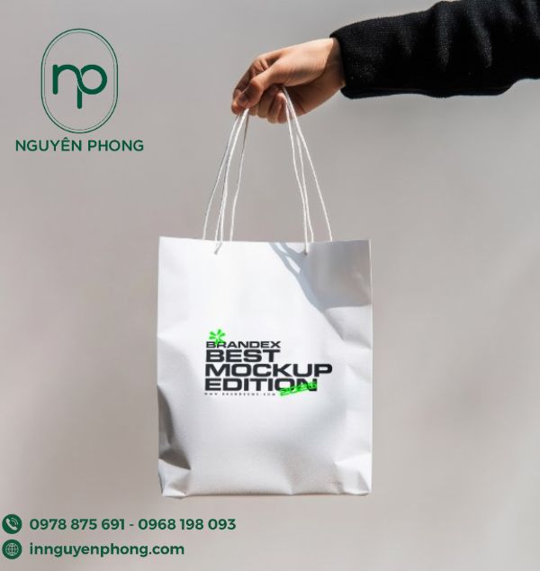 Mẫu túi giấy đựng sách kraft trắng in màu 